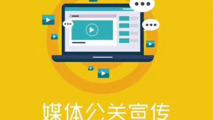 智聯灣區，網贏未來 廣東省網絡推廣與市場營銷整合策劃方案